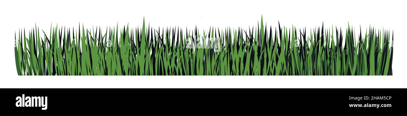 Bannière horizontale verte de silhouette d'herbe.Vecteur Illustration de Vecteur
