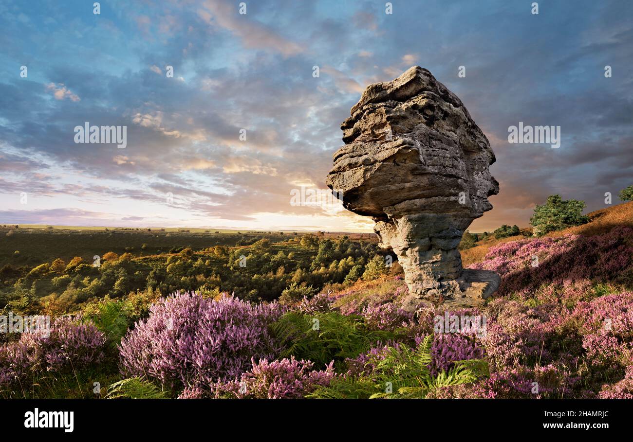 Formation rocheuse de Bridestone dans la forêt de Dalby, parc national de North Yworks Moors, Angleterre.Les célèbres Bridestones, Crosscliff et Blakey Topping, sont ap Banque D'Images