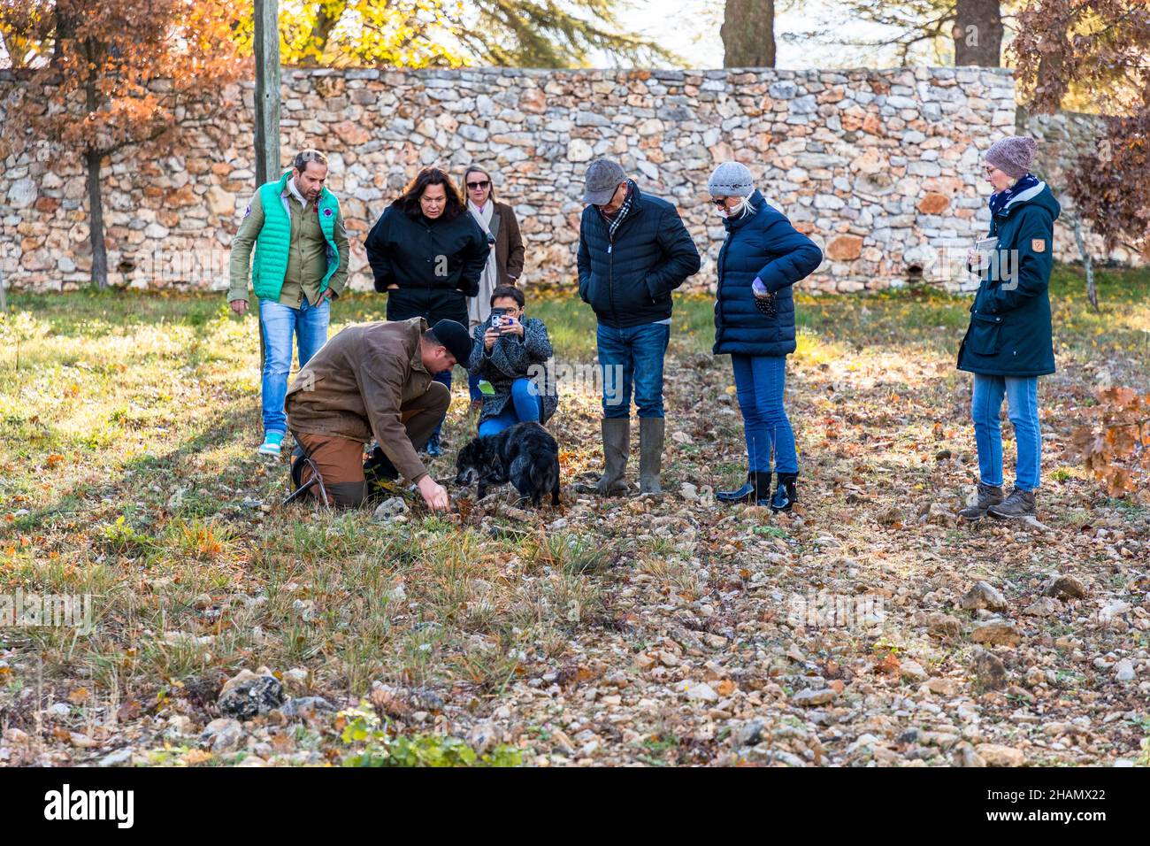 Le producteur de truffes Tangay Demachy montre à un groupe de visiteurs l'endroit trouvé par son chien renifleur Manolo lors d'une démonstration de chasse aux truffes au domaine de Majastre à Bauduen, dans le département du Var, en France, devant un vieux mur de pierres sèches. La plupart des producteurs de truffes de la région plantent des chênes sur des terres privées et inoculent leurs racines avec les spores fongiques. Banque D'Images