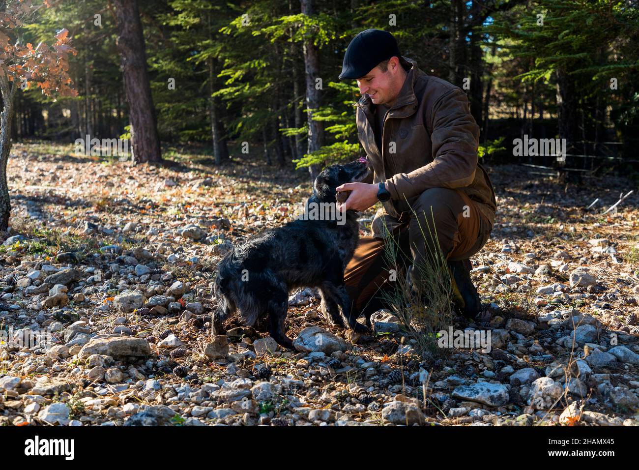 Toutes les races de chiens peuvent être formées comme chiens de chasse aux truffes.Manolo, chien