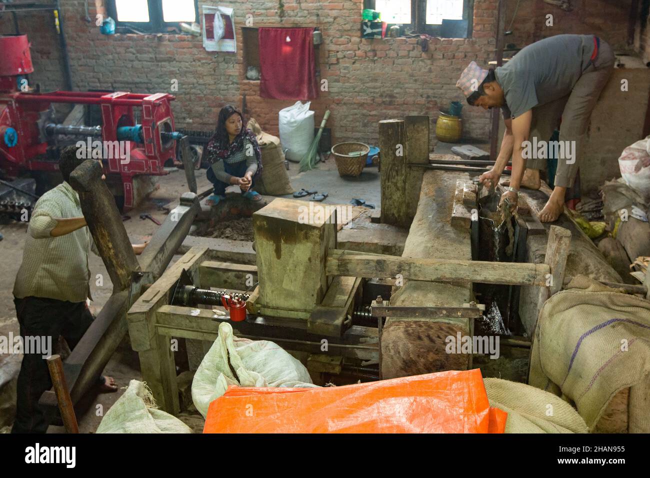 Les travailleurs ont mis en place une presse en bois pour l'écrasement de graines de moutarde pour l'huile dans le village médiéval de Newari, à Khokana, au Népal. Banque D'Images