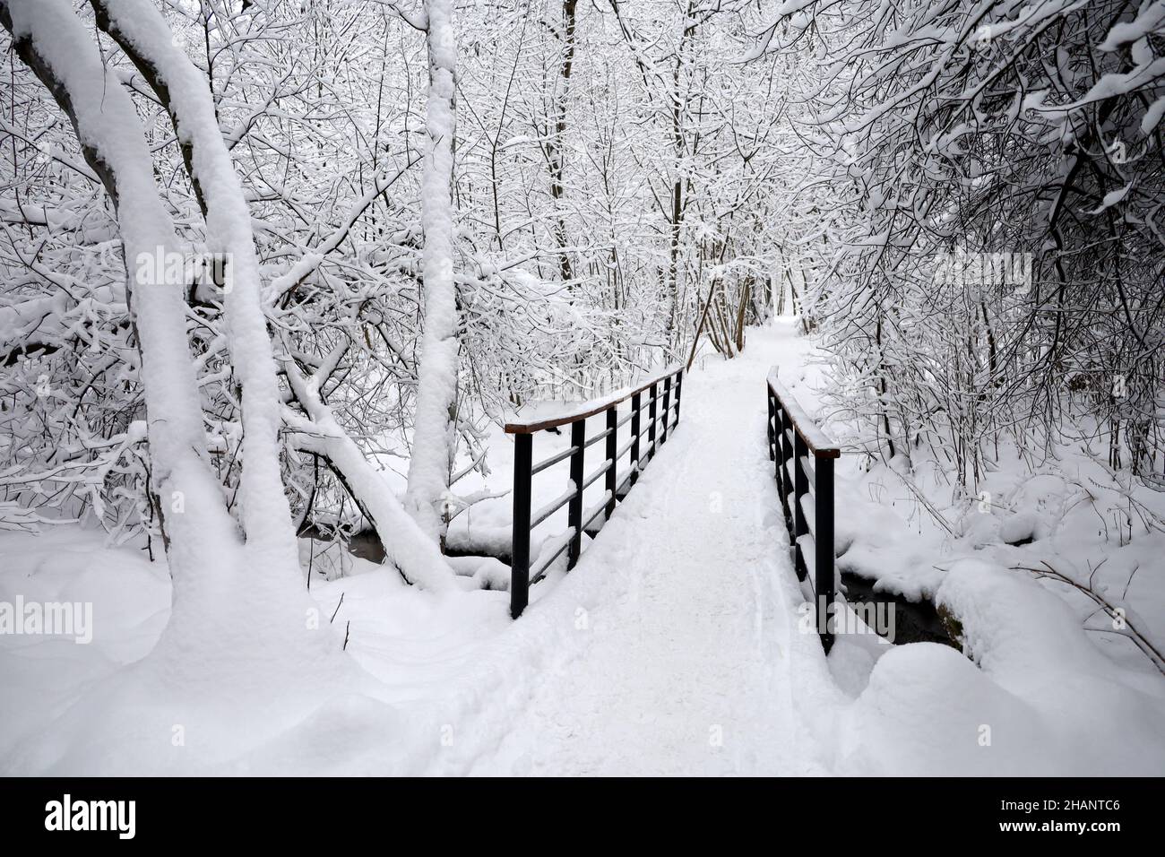 Vieux parc après une chute de neige, pont et chemin menant à travers le ruisseau.Arbres enneigés en hiver, paysage pittoresque Banque D'Images