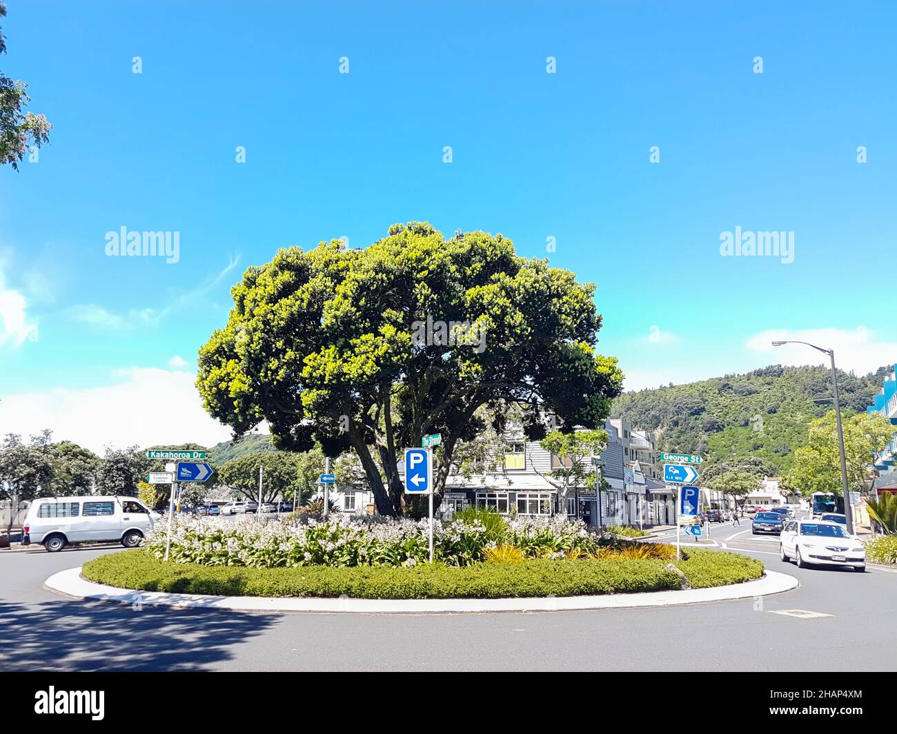 Whakatane Nouvelle-zélande - novembre 17 2017; rues scène George Street et le rond-point Strand, Eastern Bay of Plenty Nouvelle-Zélande. Banque D'Images
