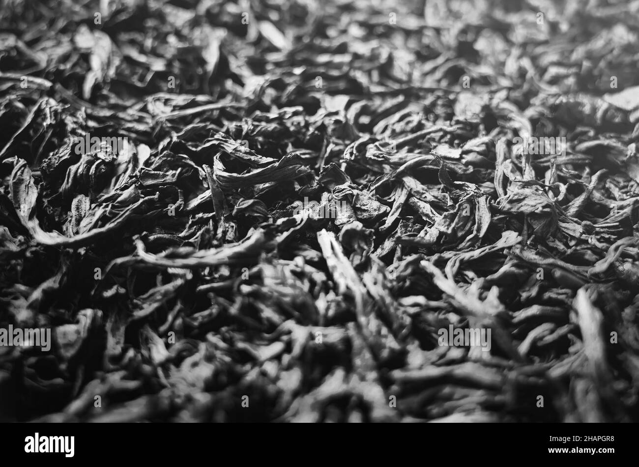 Tas de thé fond noir et blanc Banque D'Images