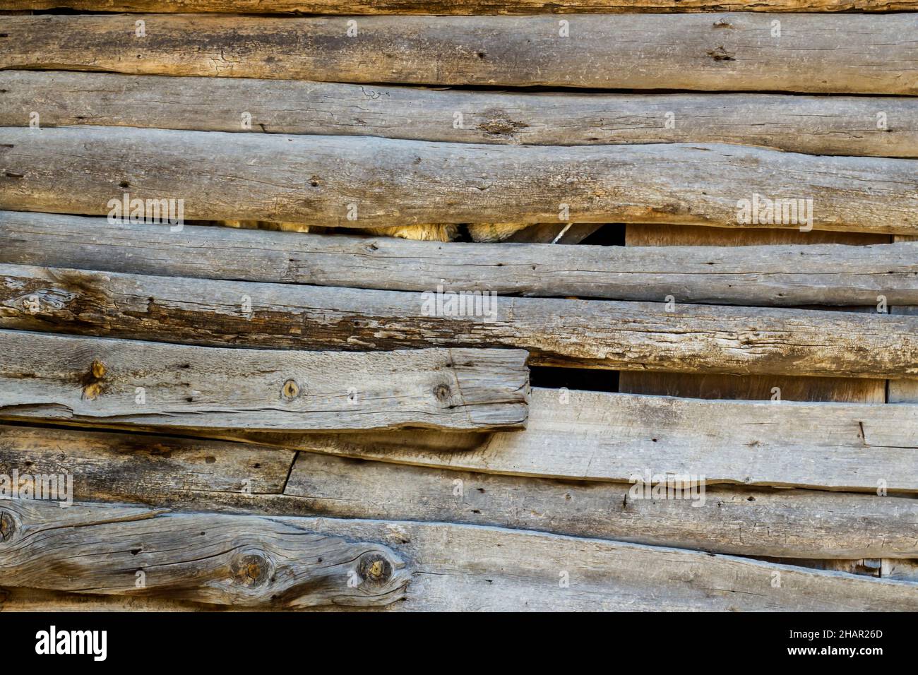 Gros plan sur un mur de planches en bois, à motifs et texturés pour les arrière-plans Banque D'Images