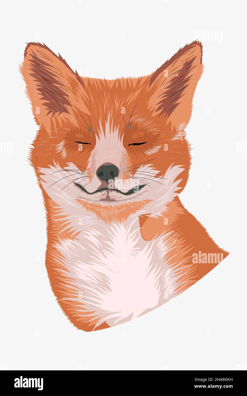 Joli portrait de renard rouge.Renard avec de grandes oreilles moelleuses Illustration de Vecteur