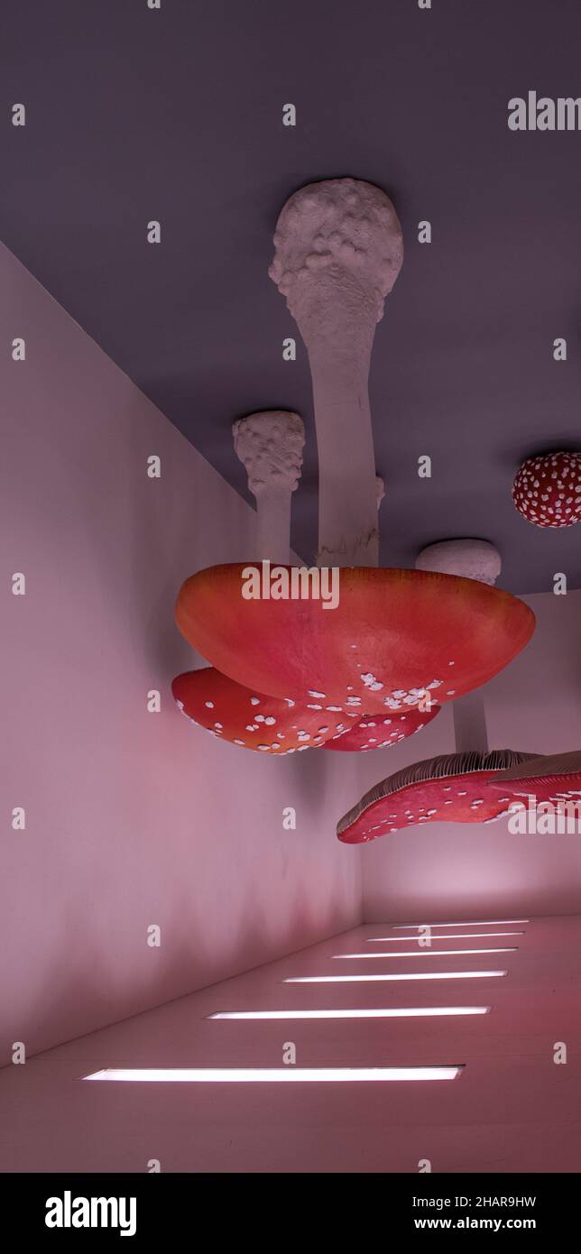 Milan, Italie: Détails de la salle Mushroom à l'envers, partie du projet Synchro System (2000) par Carsten Höller à la Fondazione Prada Banque D'Images