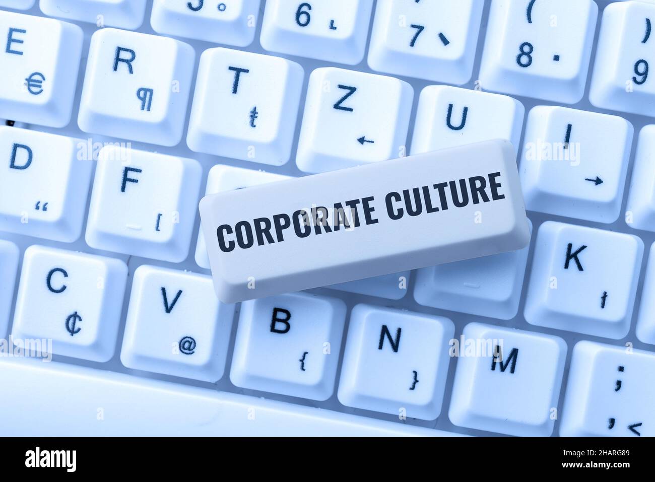 Texte d'écriture Culture d'entreprise.Approche commerciale croyances et idées qu'une entreprise a des valeurs partagées mise en forme et compilation de données en ligne Banque D'Images