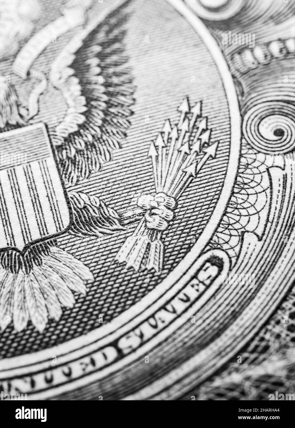 Gros plan de la devise du billet en dollars américains Banque D'Images