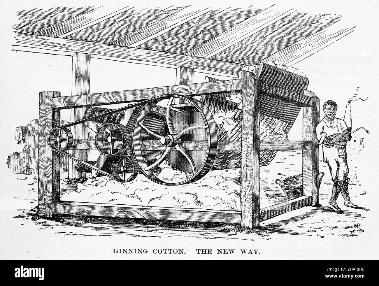 Gravure d'un coton masculin de l'égrenage d'esclave la nouvelle façon, après 1800, publié vers 1900 Banque D'Images