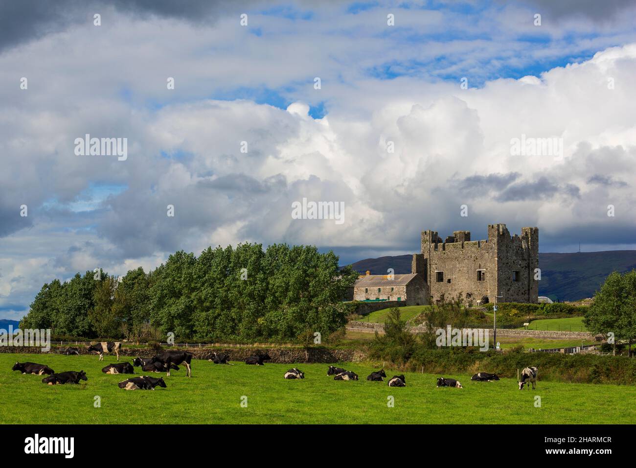 Château Royal à Greencastle, Comté en bas, Irlande du Nord, Royaume-Uni Banque D'Images