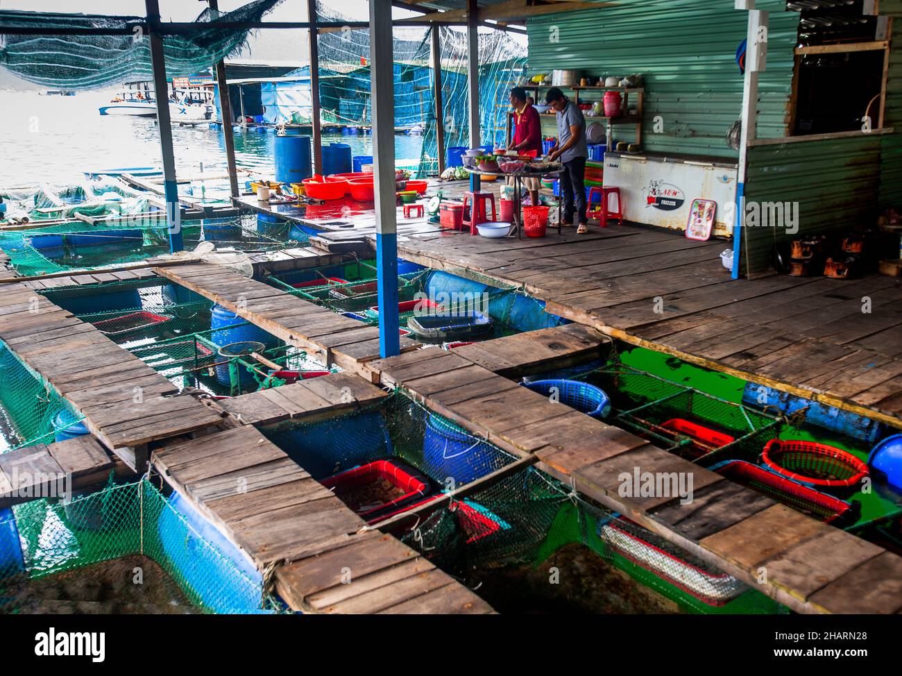 Poissons frais tenant des chars dans un restaurant dans un village de pêcheurs vietnamien.Populaire auprès des compagnies de voyage et des touristes. Banque D'Images
