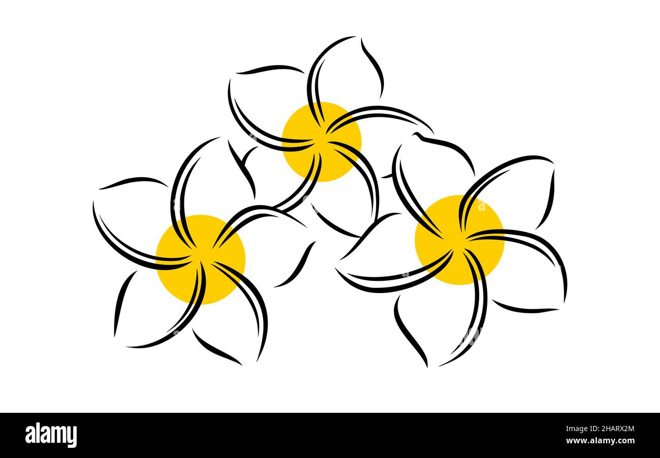 Frangipani ou plumeria fleurs exotiques d'été.Frangipani gravé isolé sur fond blanc.Illustration vectorielle Illustration de Vecteur