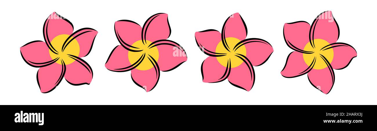 Frangipani ou plumeria fleurs exotiques d'été.Frangipani gravé isolé sur fond blanc.Illustration vectorielle Illustration de Vecteur
