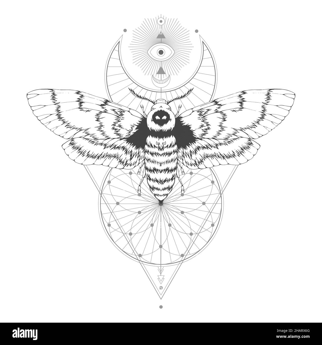 Illustration vectorielle avec papillon de tête mort dessiné à la main et symbole géométrique Sacré sur fond blanc.Signe mystique abstrait.Forme linéaire noire. Illustration de Vecteur