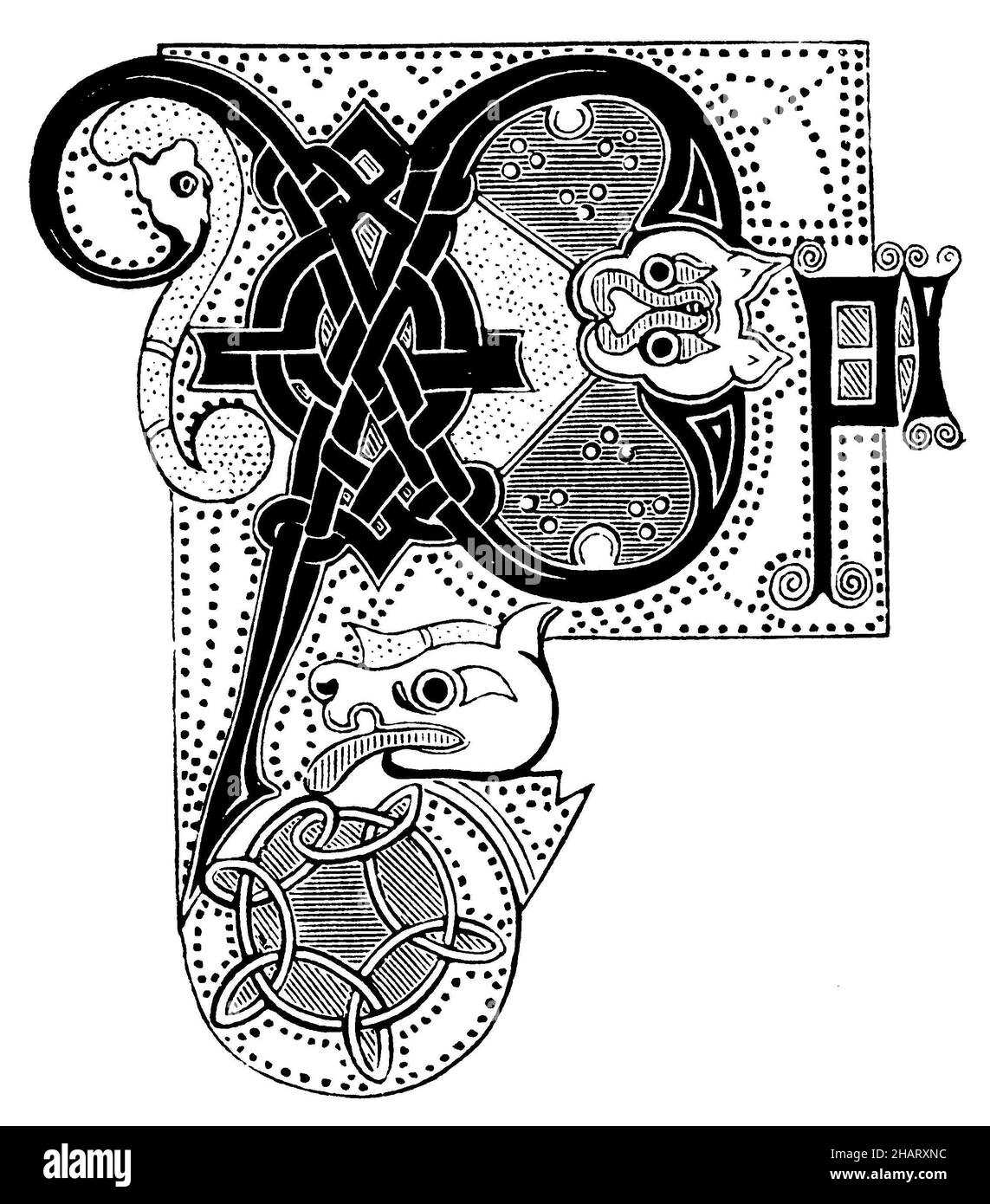 Lettre P. Irish initial, , (livre d'histoire de l'art, 1904), Buchstabe P. Irische Initale, lettre P. Initale irlandaise Banque D'Images