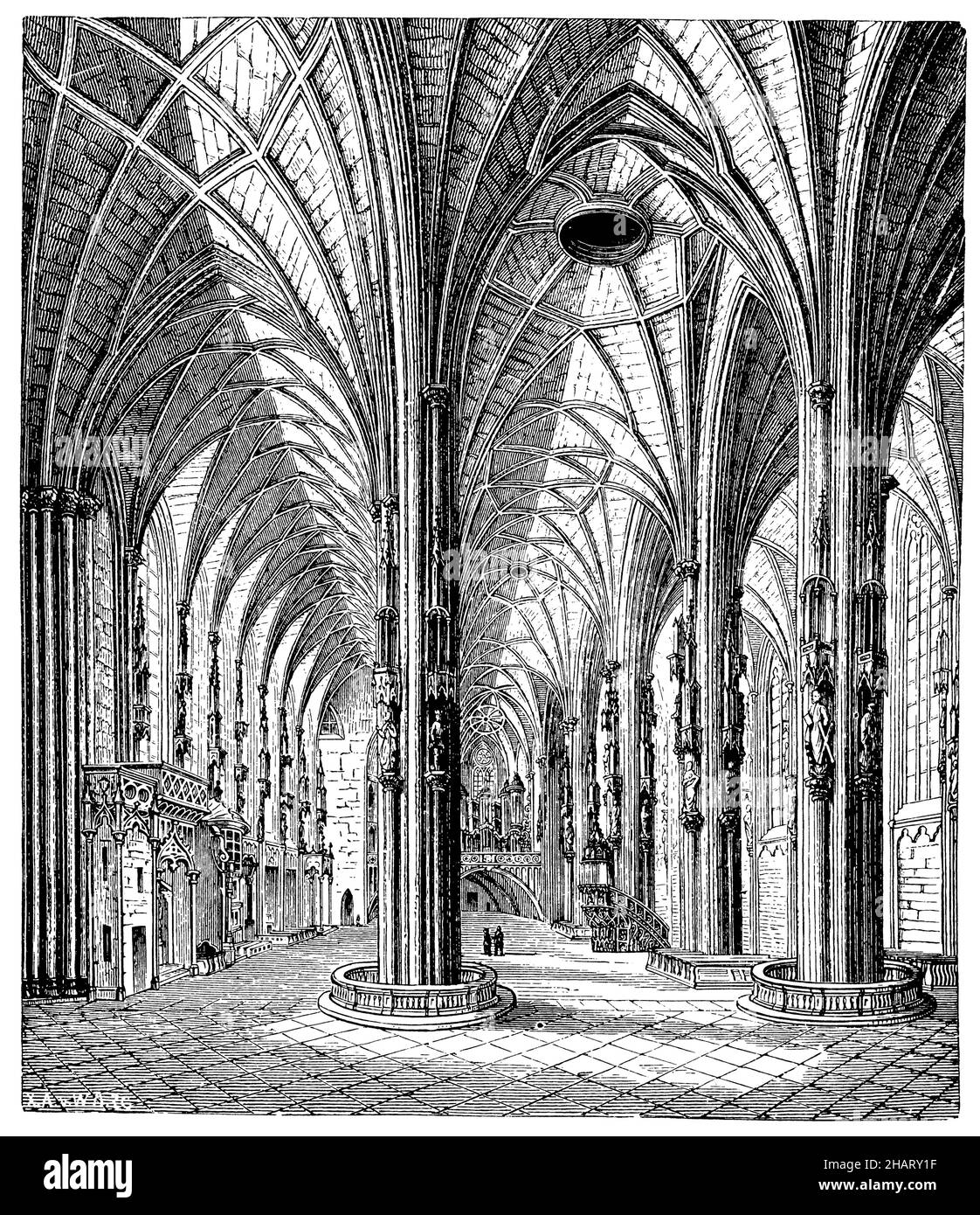 Vue intérieure de la cathédrale Saint-Étienne de Vienne, , (livre d'histoire de l'art, ), Innenansicht des Stephansdoms de Vienne, vue intérieure de la cathédrale Saint-Étienne de Vienne Banque D'Images