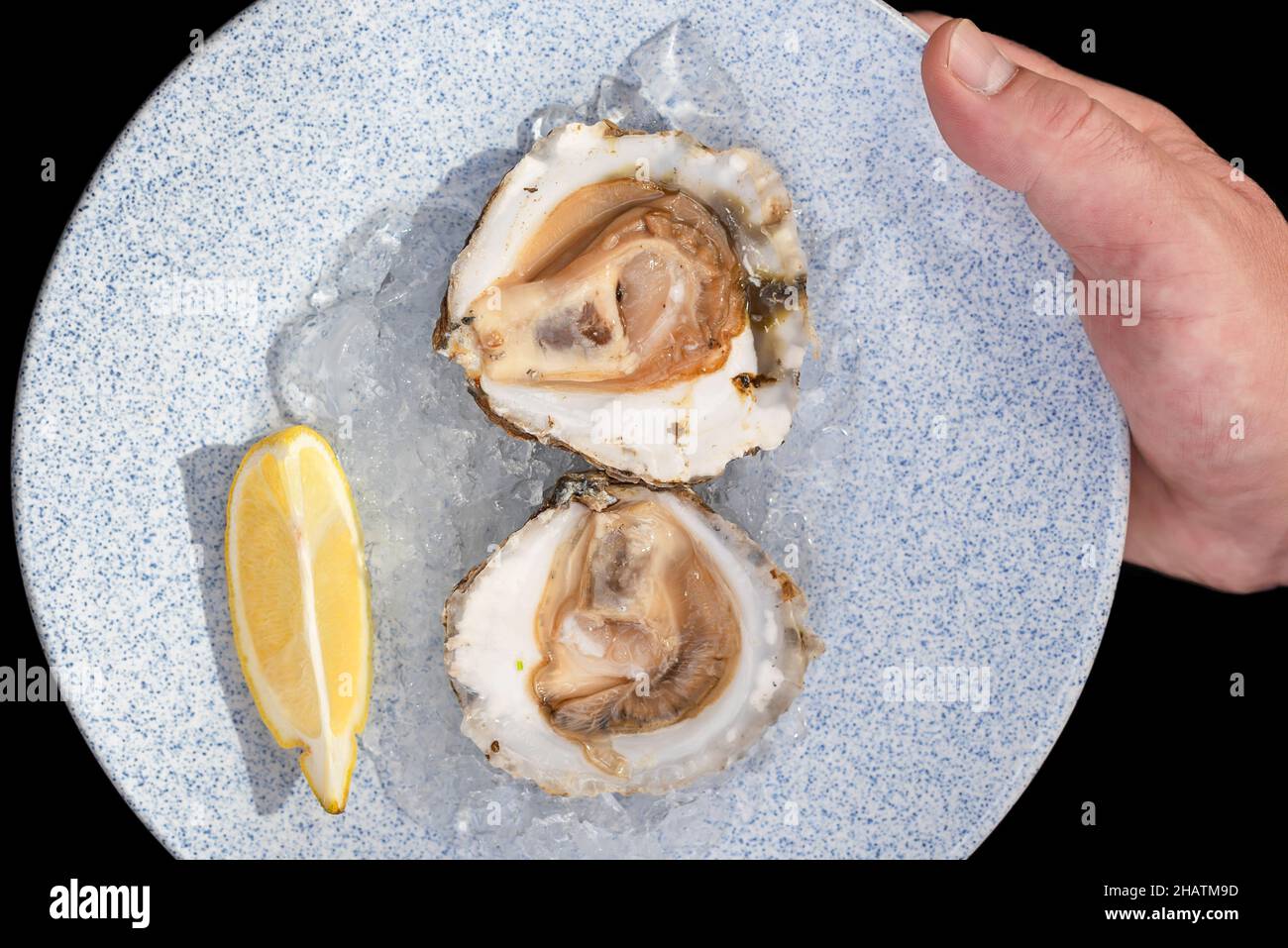 Assiette d'huîtres avec glace et citron tenue à la main sur fond noir Banque D'Images