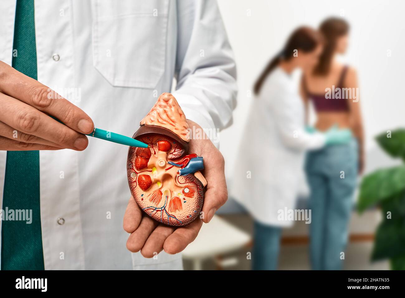 Urologie et traitement de la maladie rénale. médecin faisant un examen du rein pour une patiente avec une maladie rénale, soft focus Banque D'Images