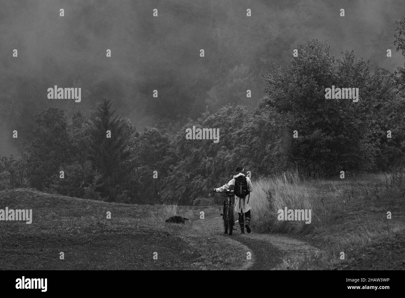 Femme avec sac à dos pousse sa bicyclette sur le chemin de la forêt, démontée Bicycliste poussant la bicyclette Banque D'Images