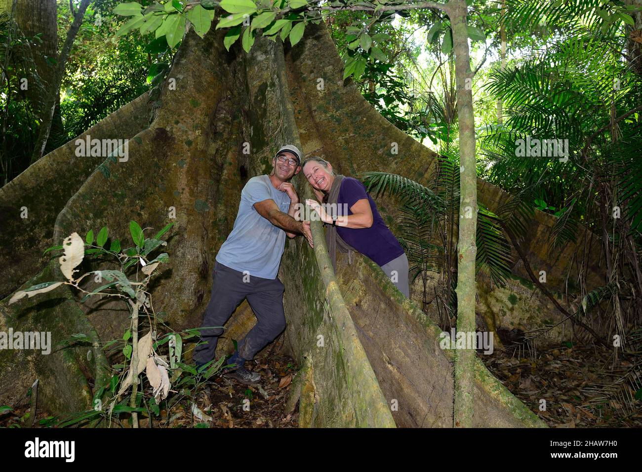 Touristes entre les contreforts d'un géant de la jungle, Serere Eco Reserve, près de Rurrenabaque, Beni District, Bolivie Banque D'Images