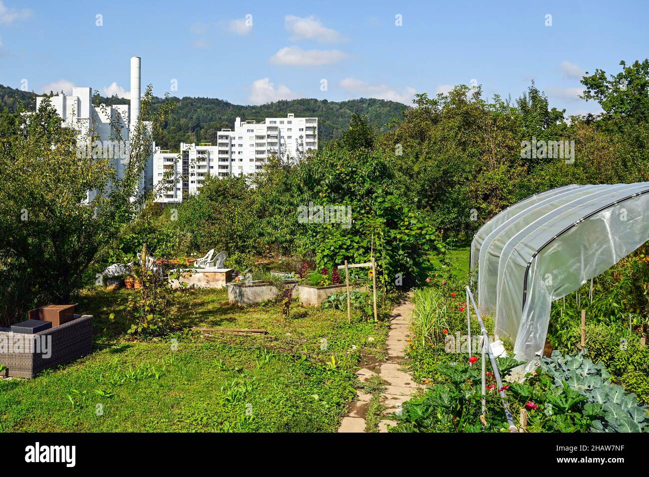 Jardin de l'allotissement et immeuble, Suisse Banque D'Images