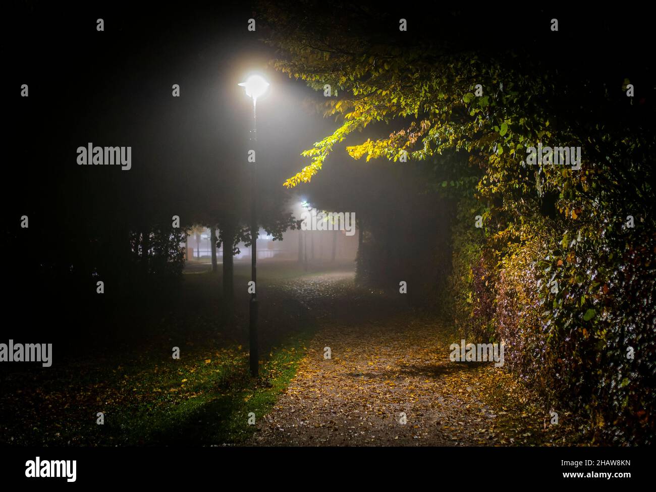 Les feux de rue éclairent le chemin dans un parc à Markt Swabia, Bavière, Allemagne Banque D'Images