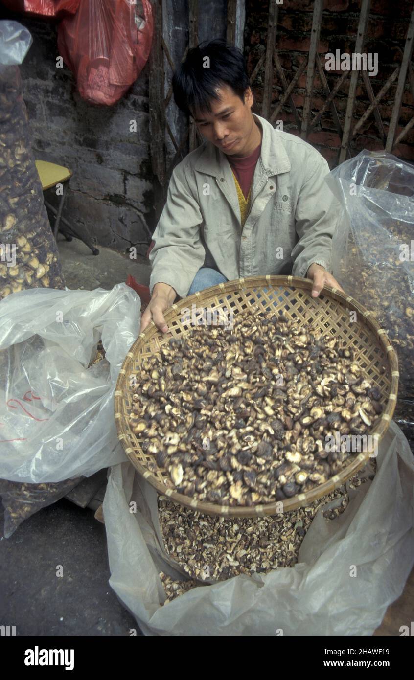 Mushroom sec sur un marché dans la vieille ville de Beijing en Chine.Chine, Beijing, octobre 1997 Banque D'Images
