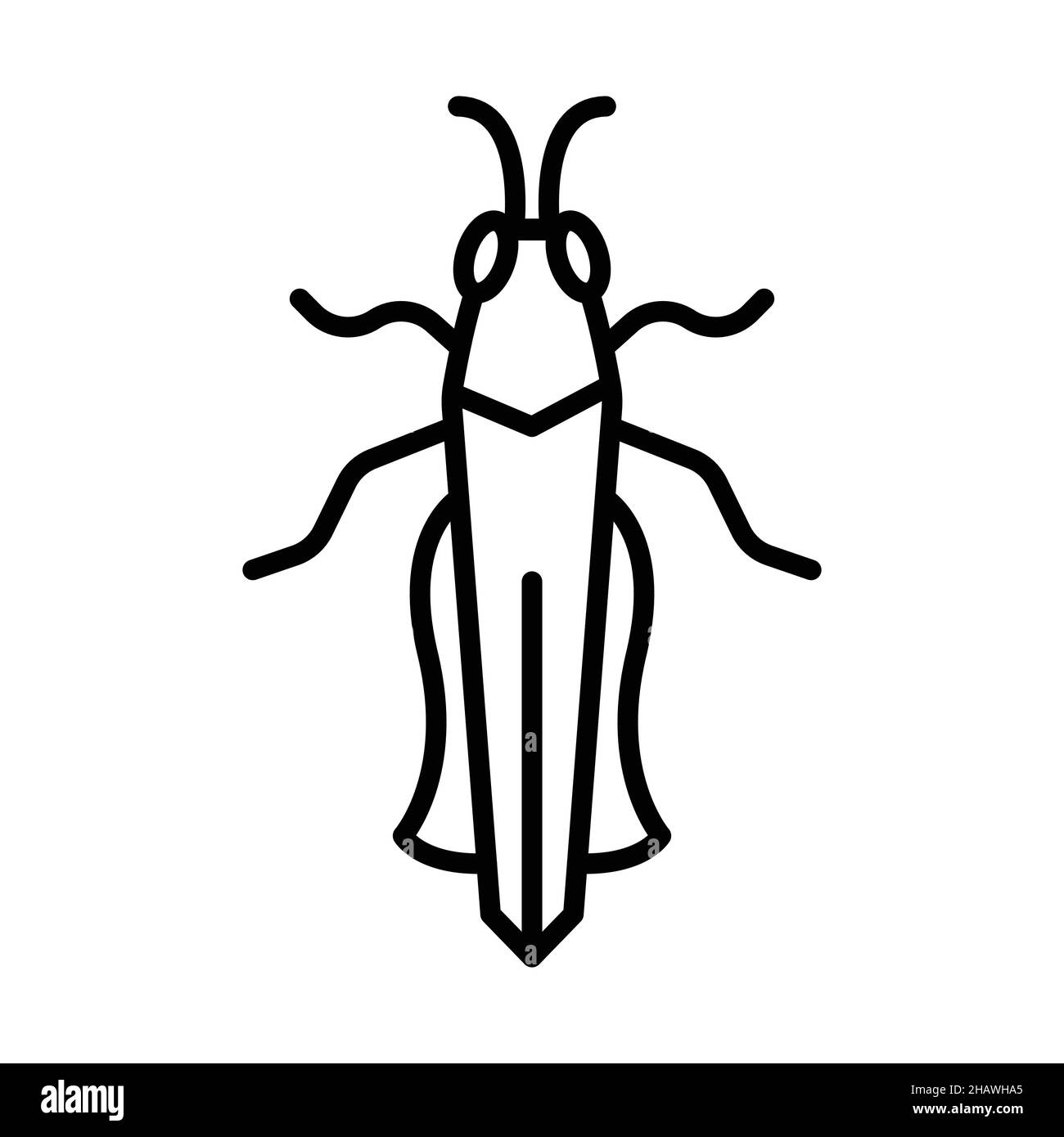 Icône Contour de la sauterelle vecteur animal Illustration de Vecteur