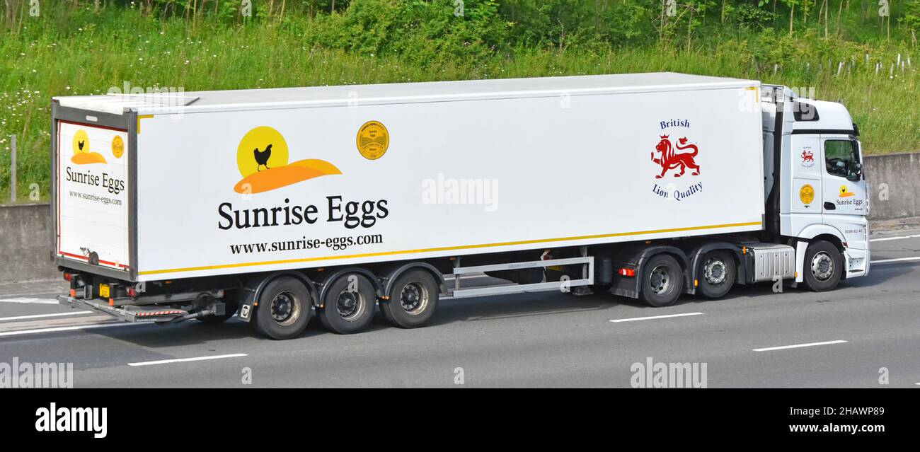 Vue latérale d'une chaîne d'approvisionnement hgv blanc camion juggernaut et remorque articulée publicité Sunrise Egg Food Company logo M25 autoroute Royaume-Uni Banque D'Images