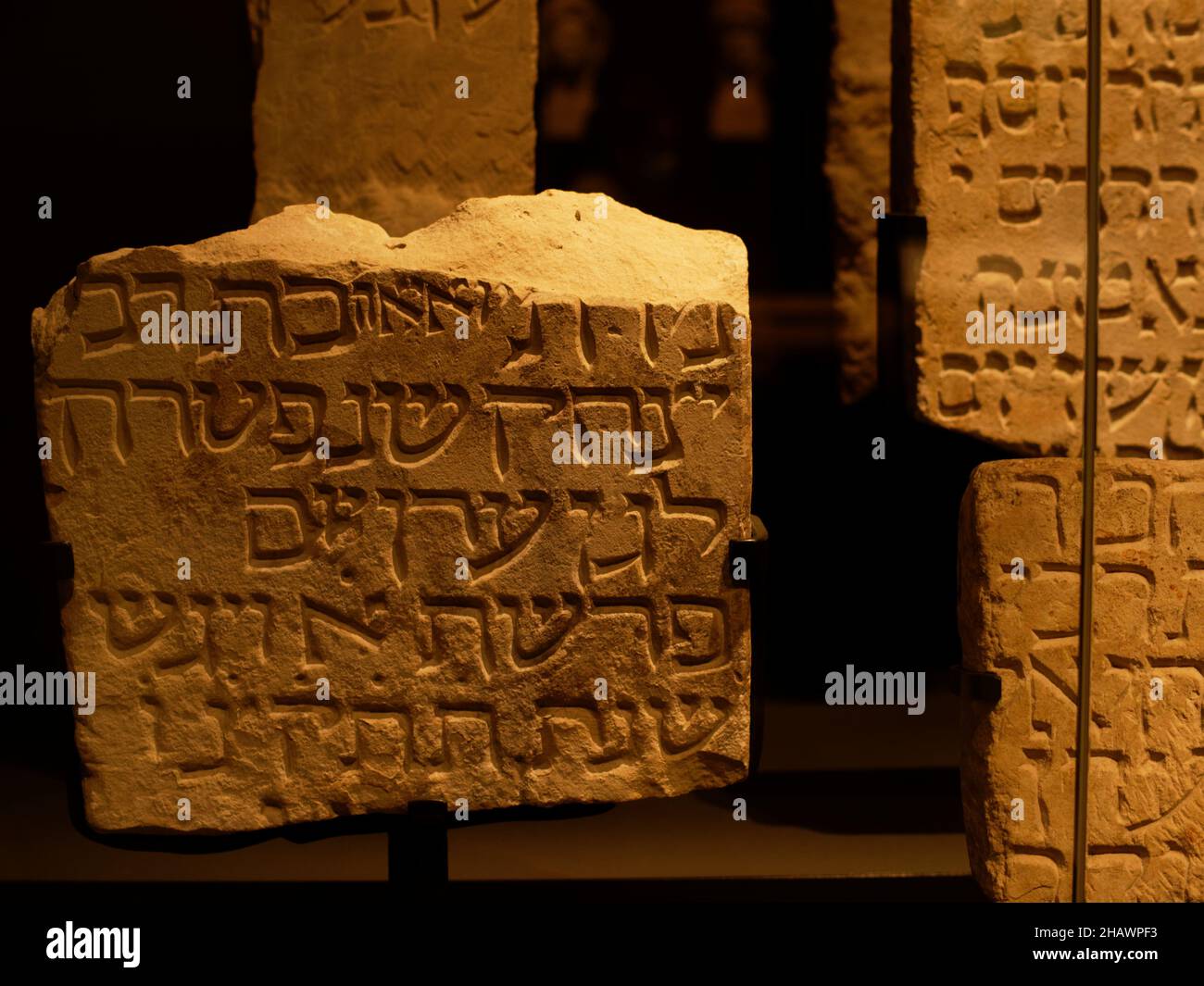 APPAREIL PHOTO NUMÉRIQUE OLYMPUS Banque D'Images