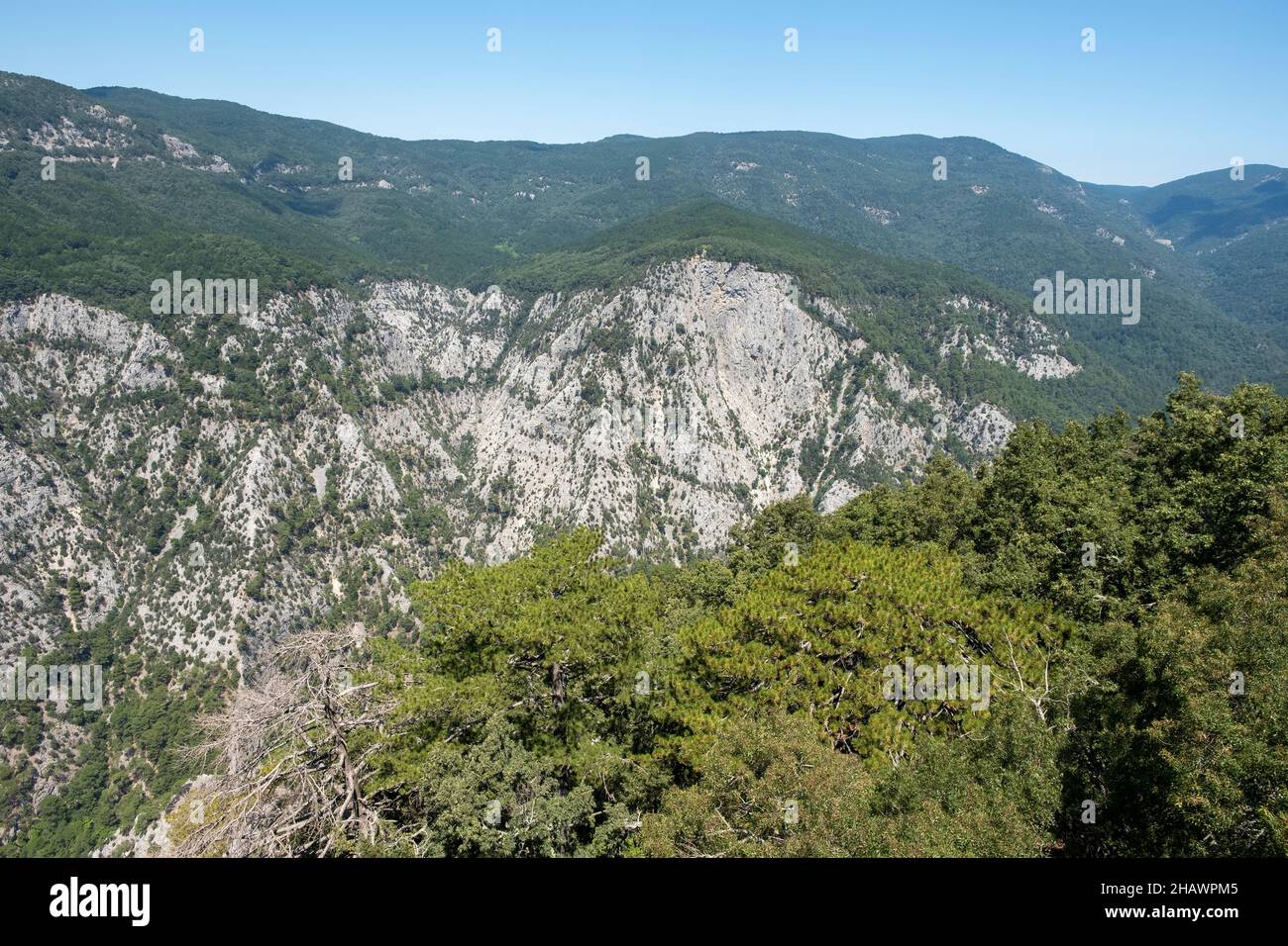 Ida Mountain-Kaz Daglari En Turquie. (En turc: Kazdagi, signifiant Goose Mountain), Turquie. Belle nature..la montagne Ida a des plantes et des arbres endémiques Banque D'Images