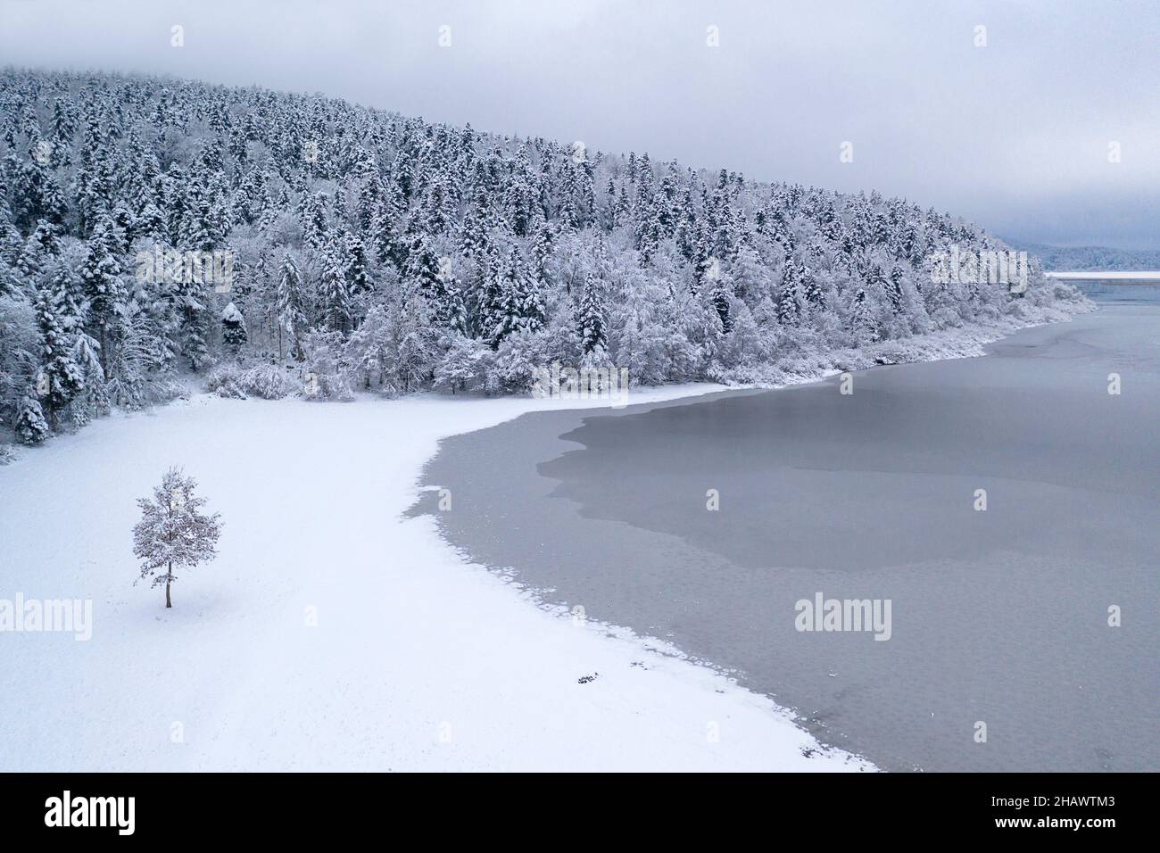 Patrons de glace sur une surface de lac gelée, lac Cerknica, Slovénie Banque D'Images