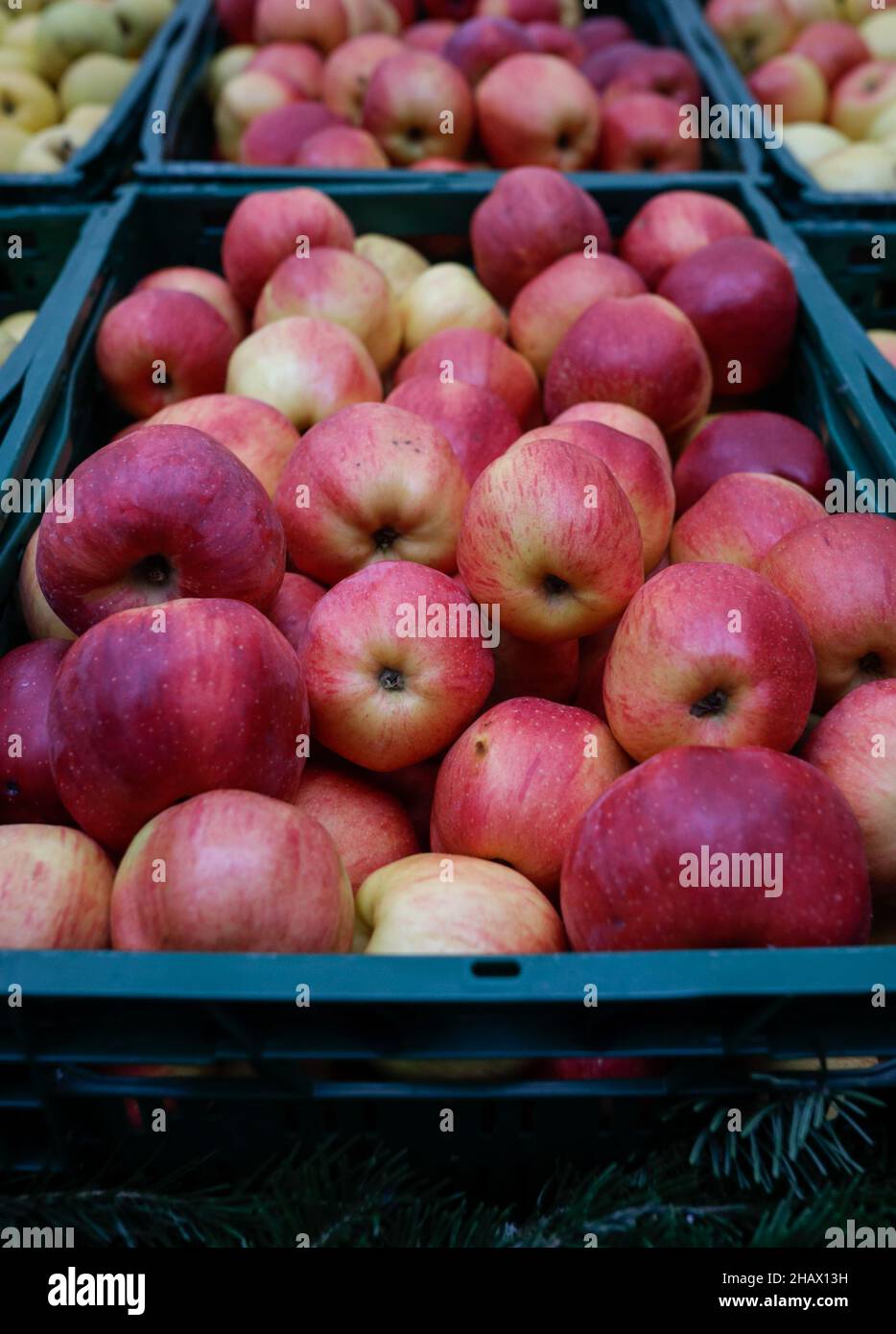 Image de faible profondeur de champ (mise au point sélective) avec des pommes fraîches biologiques à vendre sur un marché de plein air à Bucarest, Roumanie. Banque D'Images