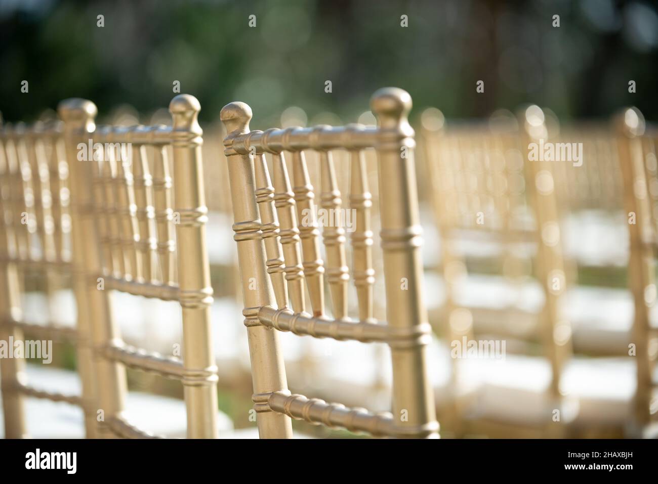 Chaises chiavari dorées lors de la cérémonie de mariage en plein air Banque D'Images