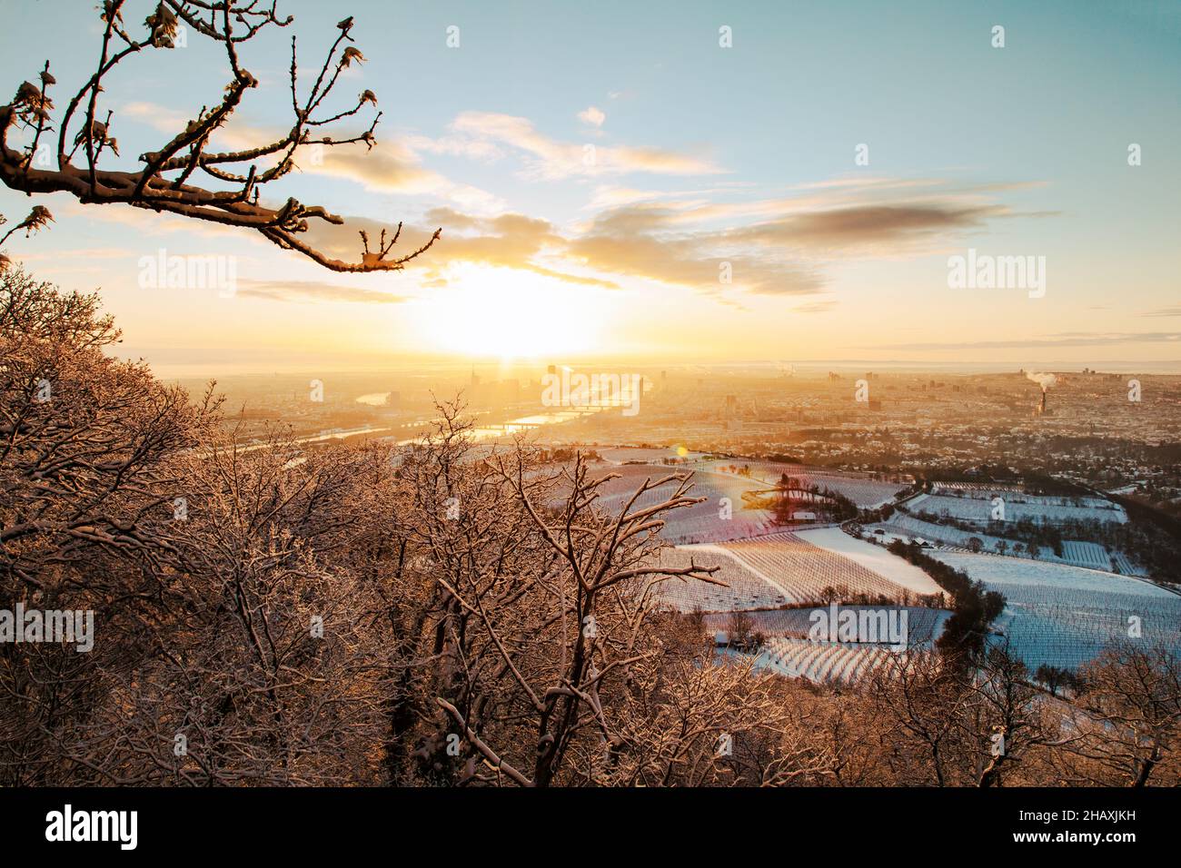 Vienne en Autriche pendant l'hiver.Lever du soleil matin vue sur la ville enneigée. Banque D'Images