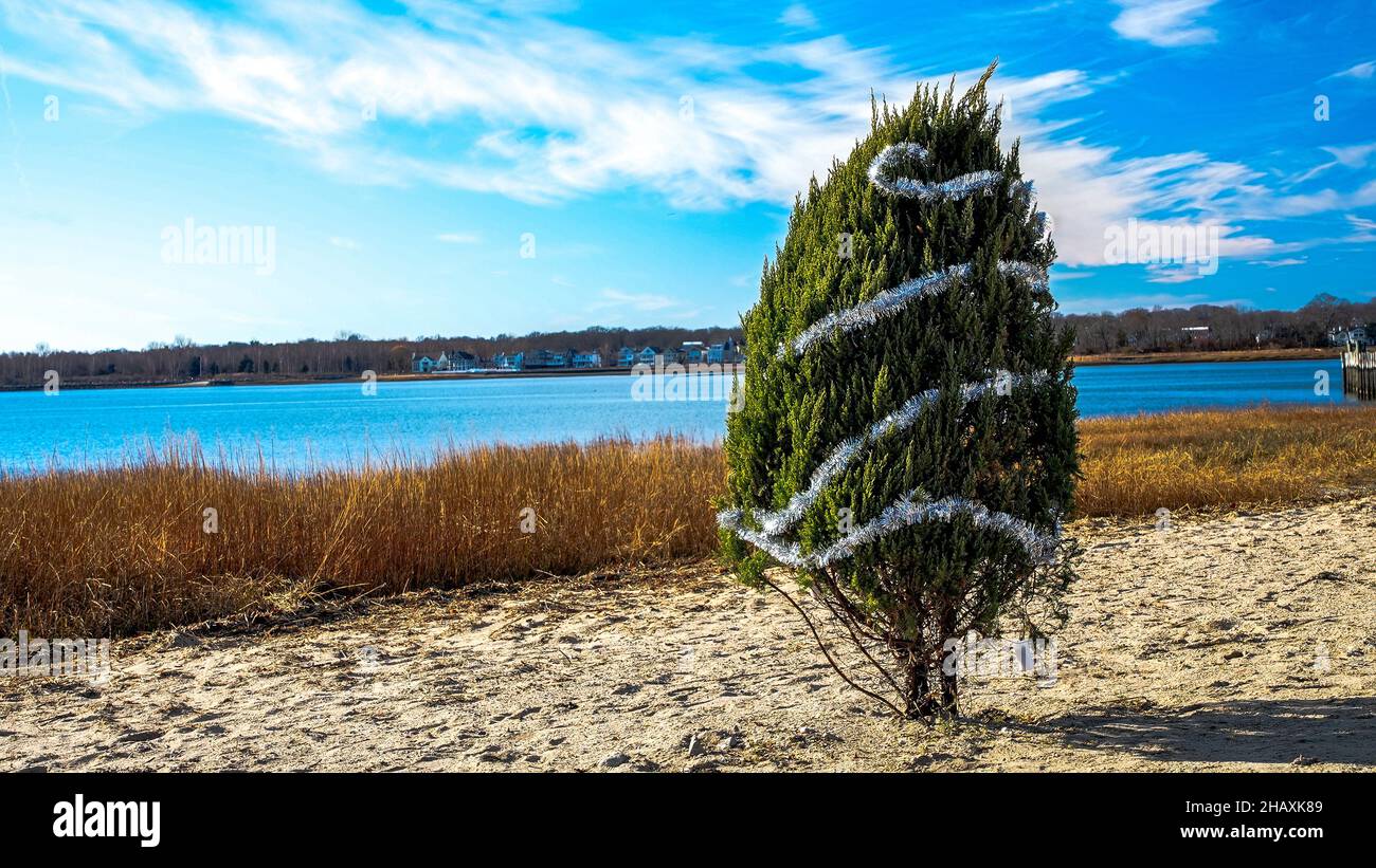 NORWALK,CT, Etats-Unis - 14 DÉCEMBRE 2021: Arbre de Noël sur la plage de Pasture de Calf, dans une belle journée ensoleillée avec ciel bleu des nuages wirh. Banque D'Images