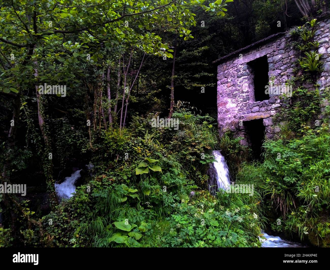 Ancien moulin à eau en pierre dans la forêt, entouré d'arbres verts Banque D'Images