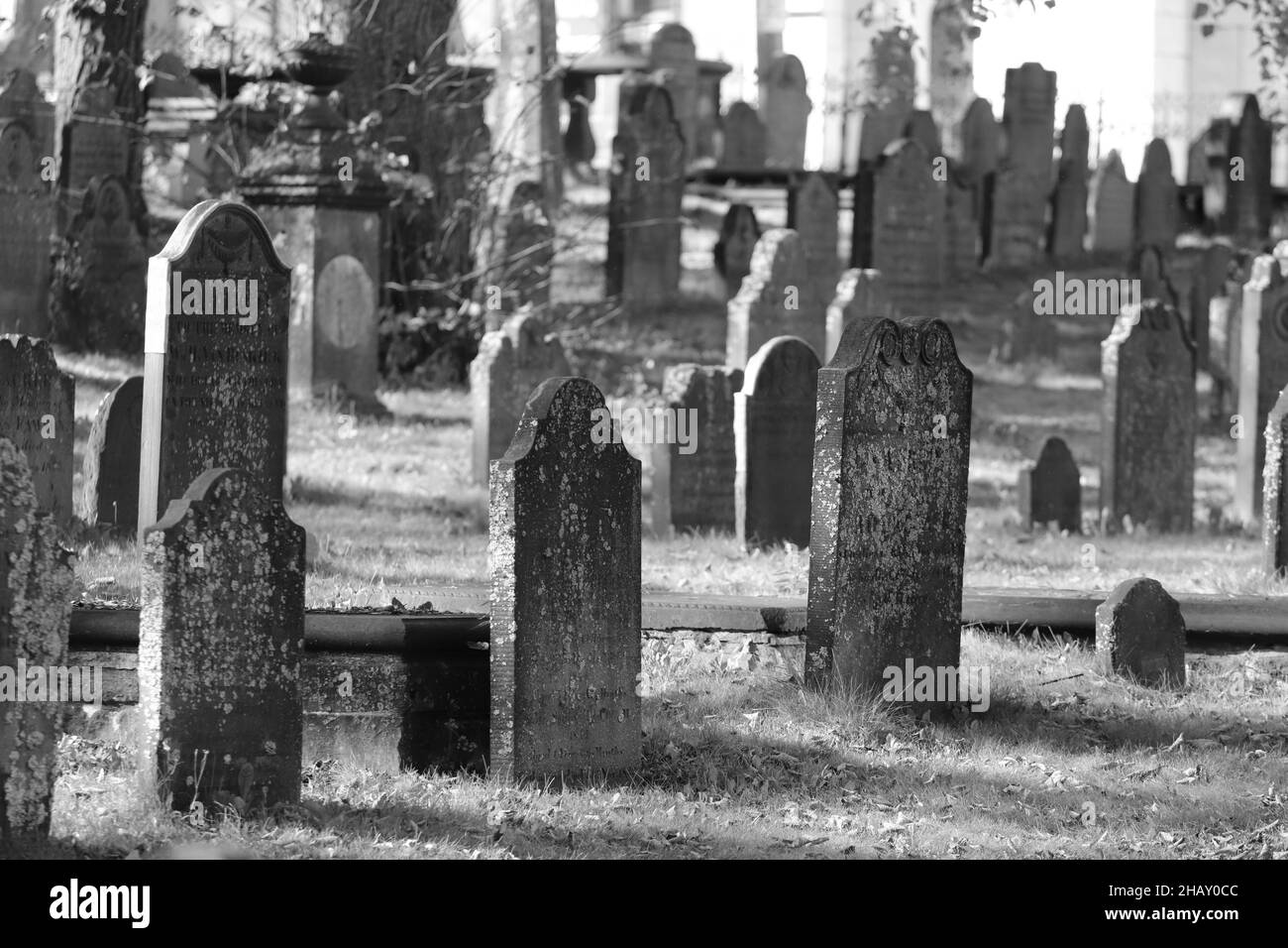 HALIFAX, CANADA - le 07 octobre 2021 : l'ancien cimetière est situé dans un cimetière du centre-ville, à Halifax, au Canada Banque D'Images