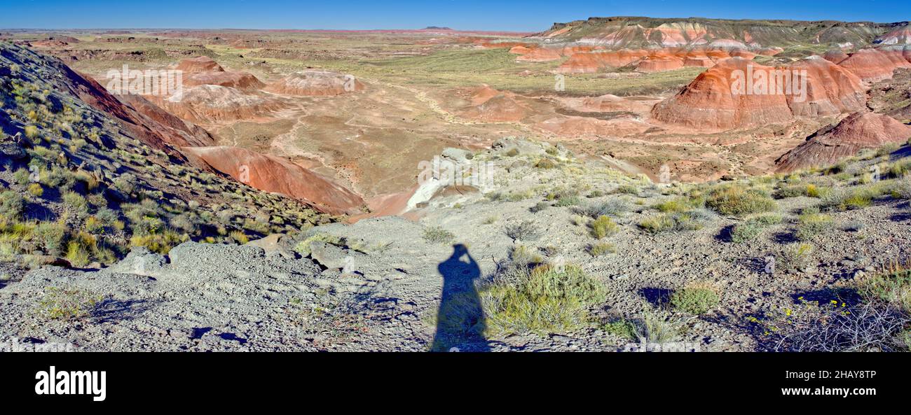 Ombre d'un photographe prenant une photo, Whipple point, Petrified Forest National Park, Arizona, Etats-Unis Banque D'Images