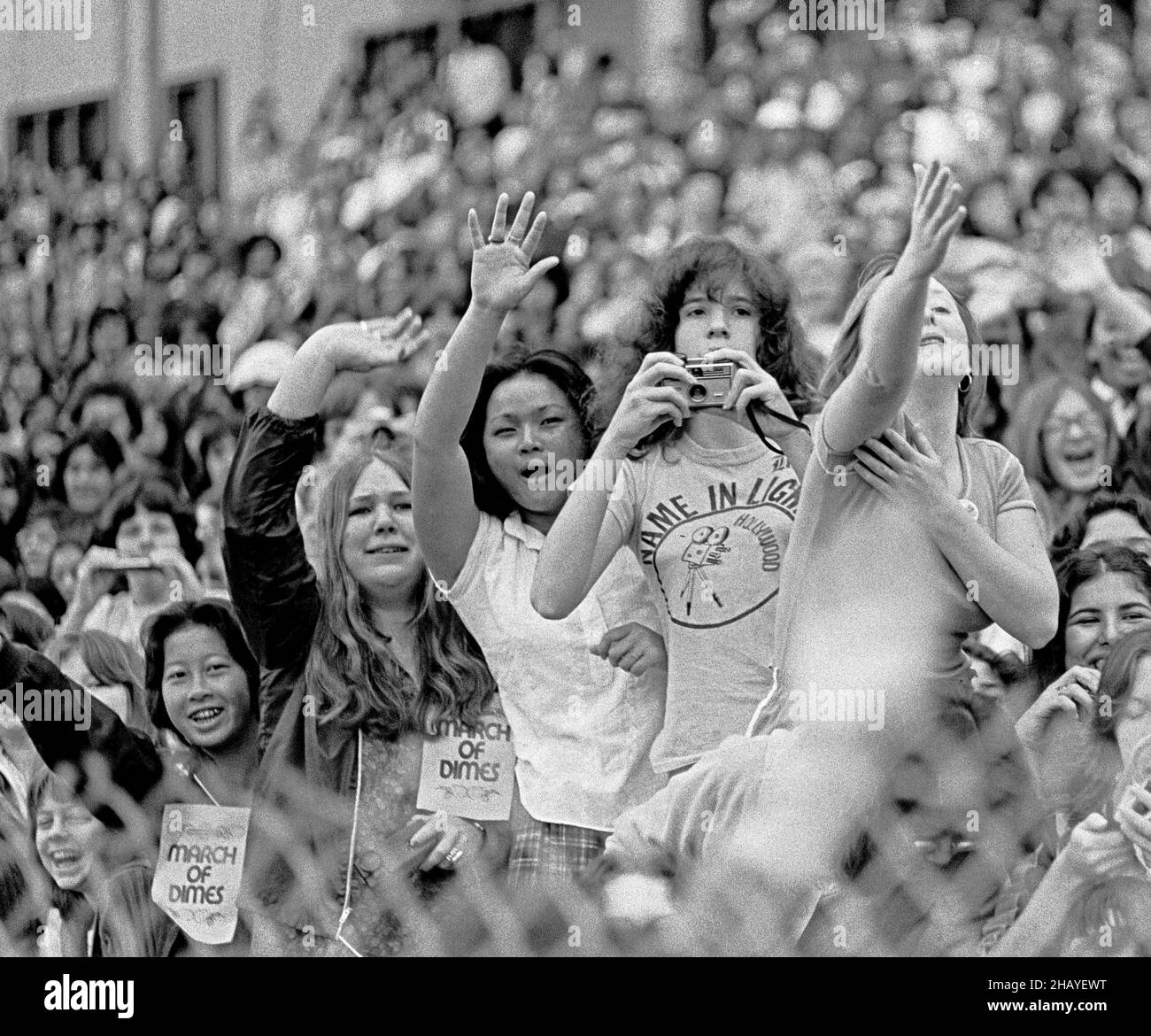 Les participants acclament Andy Gibb du groupe rock Bee Gees au stade Kezar lors de la marche annuelle March of Dimes Fundraiser Walkathon à San Francisco, Californie, 1978 Banque D'Images