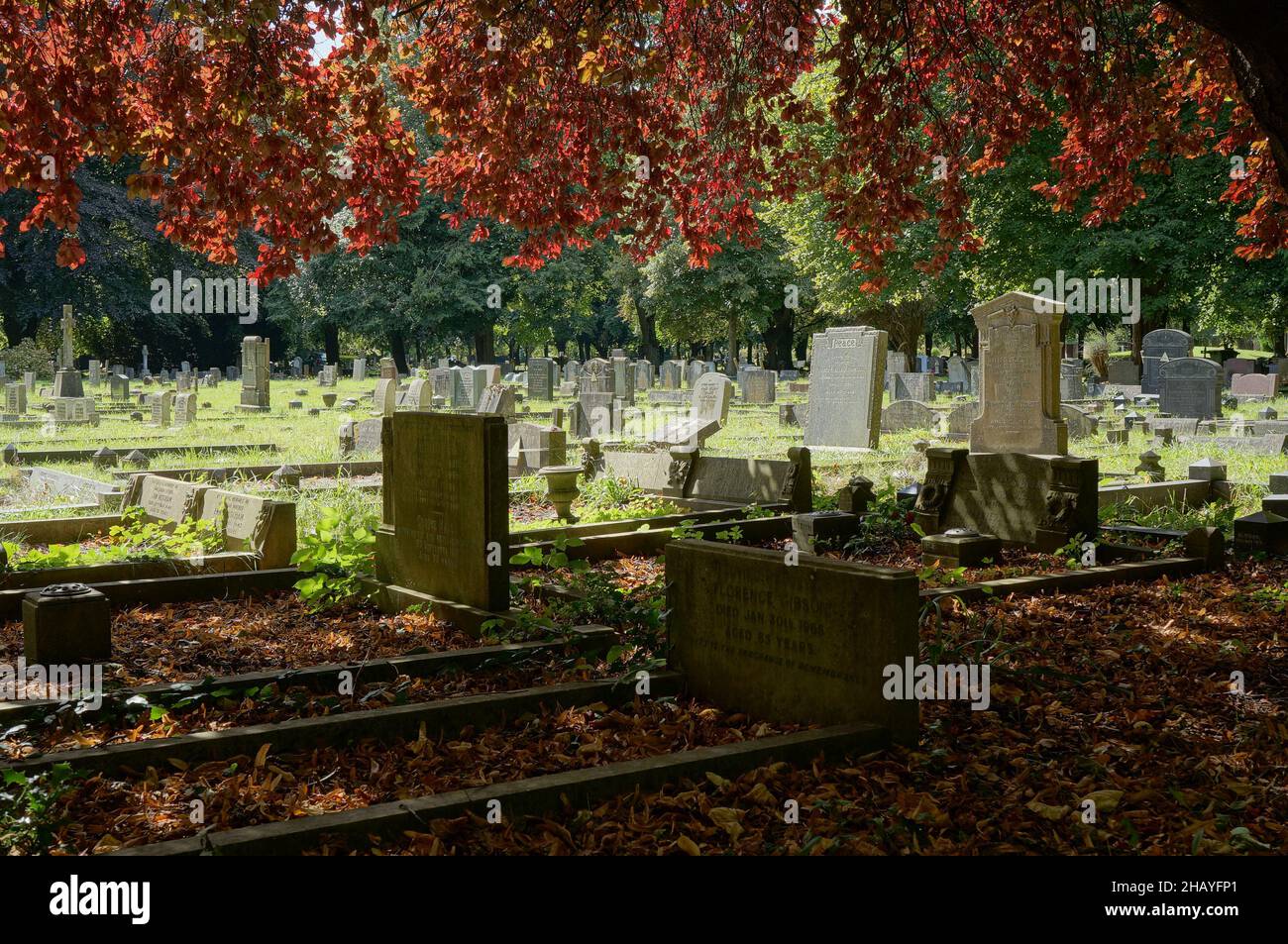 Pierres tombales avec arbre suspendu dans le cimetière victorien. Banque D'Images