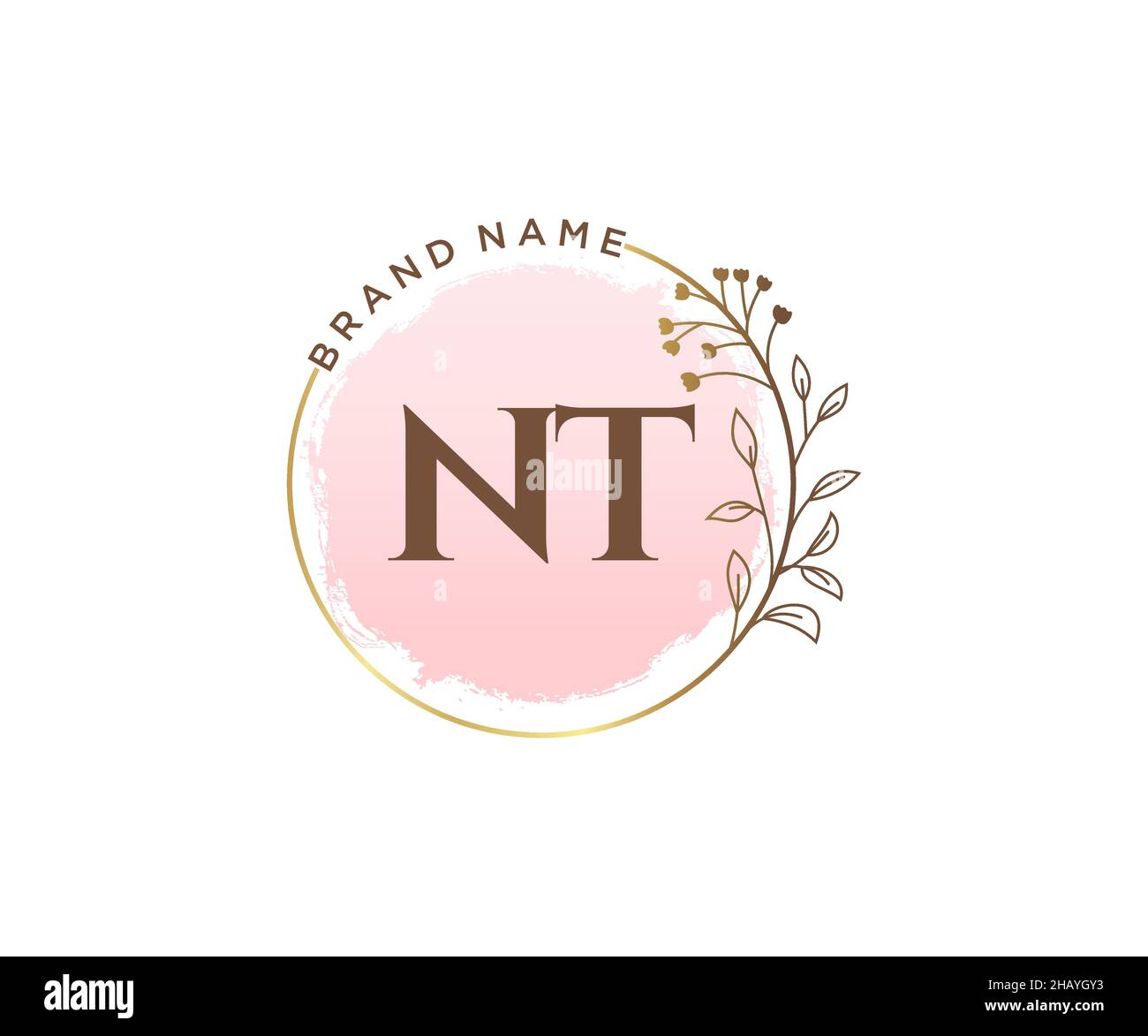 Logo NT féminin.Utilisable pour les logos nature, salon, Spa, cosmétique et Beauté.Elément de modèle de logo Flat Vector. Illustration de Vecteur