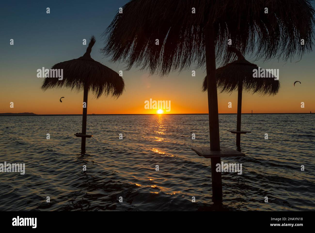 Silhouette de parasols sur la plage au coucher du soleil, plage de Los Lances, Tarifa, Cadix, Andalousie,Espagne Banque D'Images