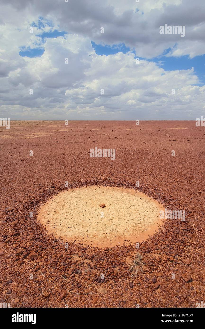 Cercle en pierre artificielle dans les plaines gibères, Australie Banque D'Images