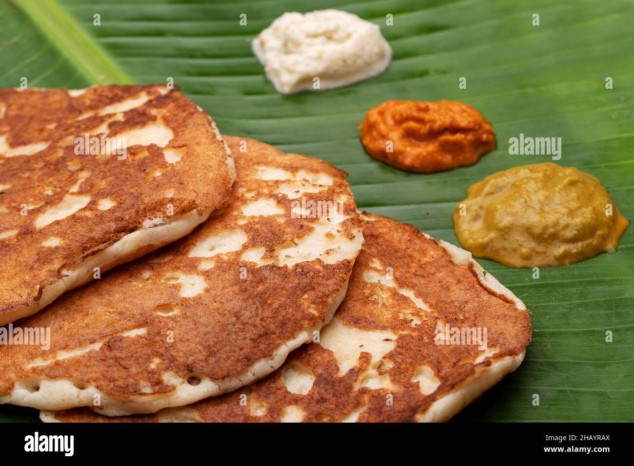 Génoise avec chutney à la noix de coco, chutney rouge et chutney vert, plat indien du Sud, en-cas frais Banque D'Images