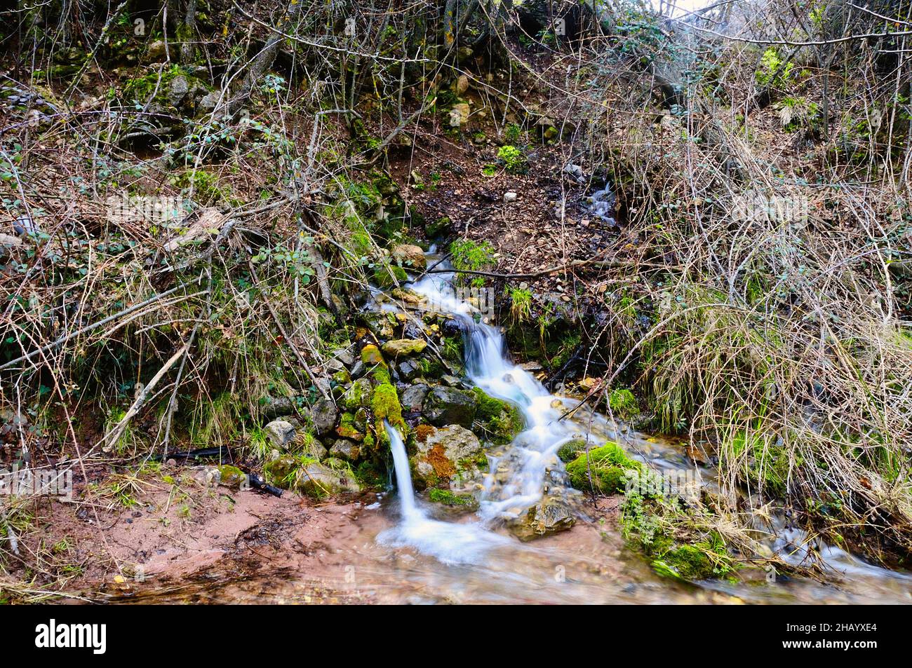 Fontaine en pierre dans un parc naturel Banque D'Images