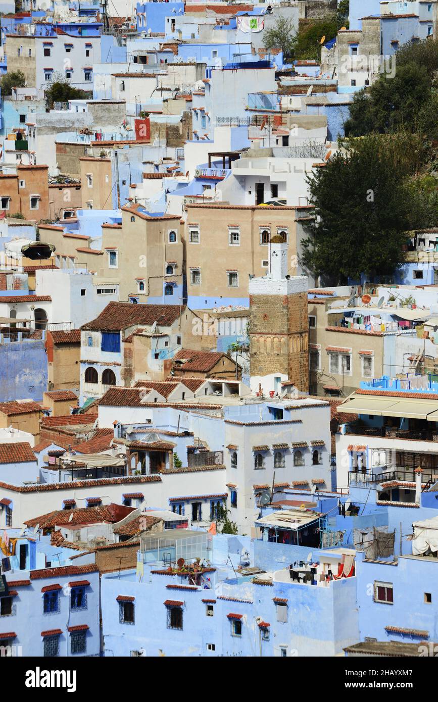 Vue sur la ville bleue de Chefchouen dans les montagnes de Rif au Maroc. Banque D'Images