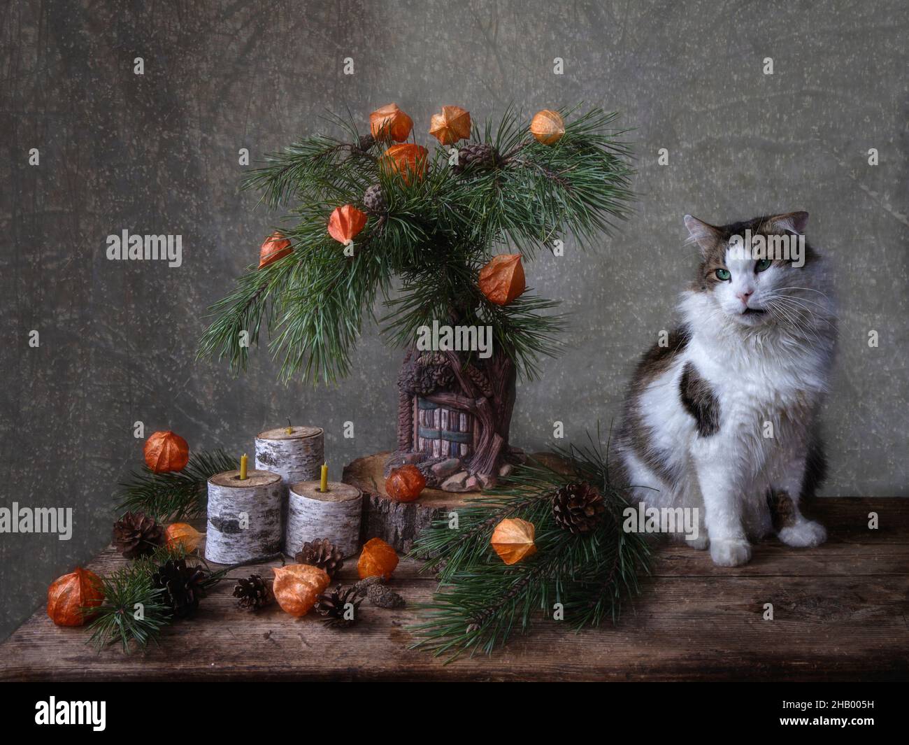 Fond de carte de noël avec des animaux Banque de photographies et d'images  à haute résolution - Alamy