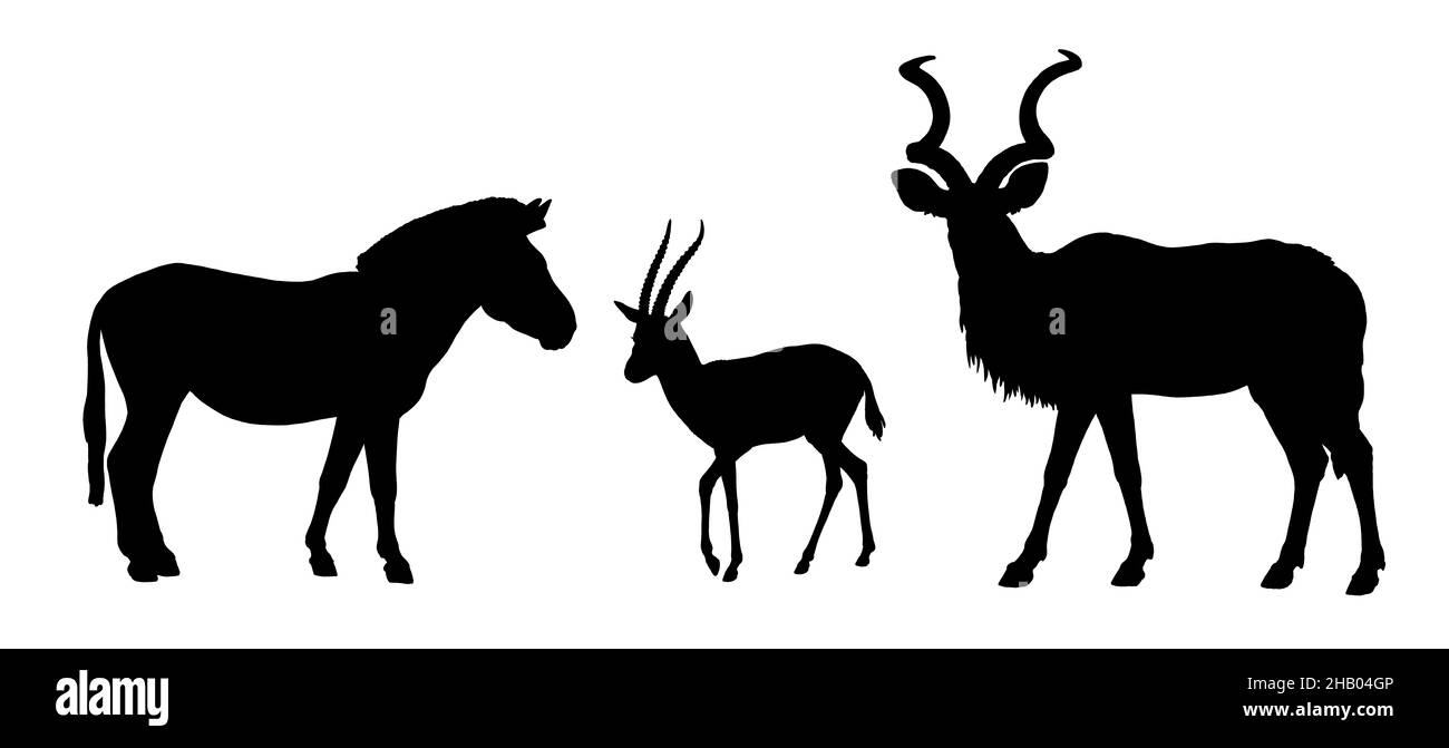 Silhouette de grand kudu, zébra et gazelle de Thomson.Dessin de ruminants africains. Banque D'Images